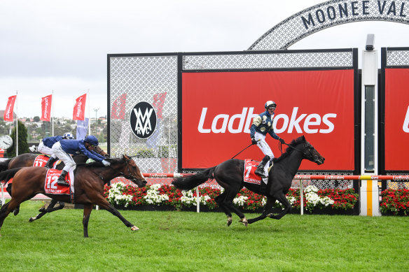 Ladbrokes owner Entain is the only party to publicly confirm its interest in Tabcorp’s wagering 
 and media business. 