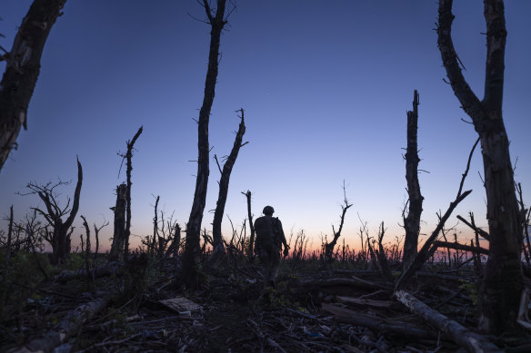 Ukrainian servicemen walk through a charred forest at the frontline a few kilometres from Andriivka, Donetsk region, Ukraine, on September 16. Other photographs of the area show it littered with Russian soldier corpses 