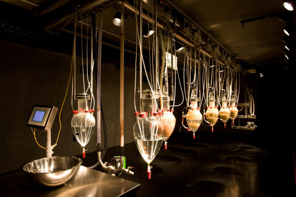 "Cloaca Professional" by Wim Delvoye caused excitement at the opening on MONA in 2011.
