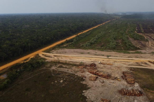 An area of forest on fire near a logging area in the Transamazonica highway region, in Amazonas state, Brazil, in September.
