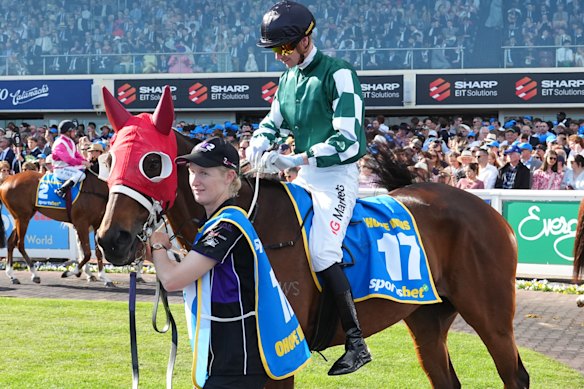 Jye McNeil riding No.17 Ohope Wins before the Caulfield Cup. The horse was put down following a fall during the race.