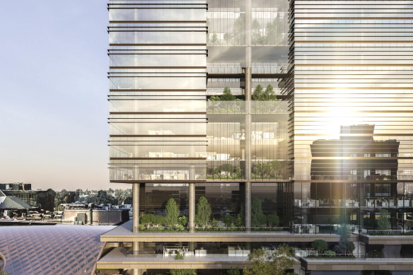 Vicinity hopes to roll out a major redevelopment at Box Hill Central over a decade.