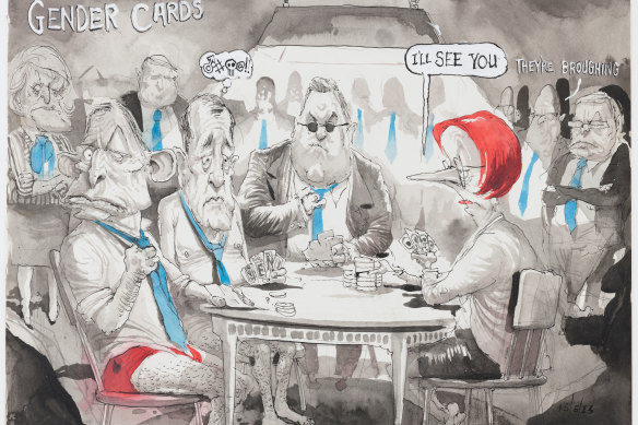  Gender cards by David Rowe, which featured in the Australian Financial Review in 2013.