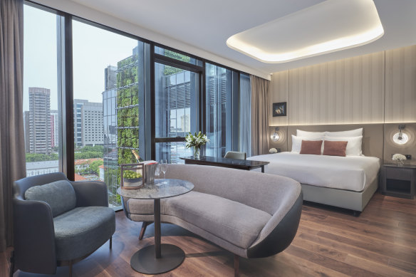 The stylish and comfortable Studio Suite.