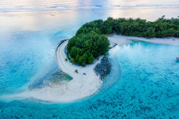 Of which Pacific Island group is Rarotonga the main island?