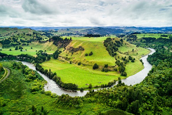 A switchback on the Whanganui River.