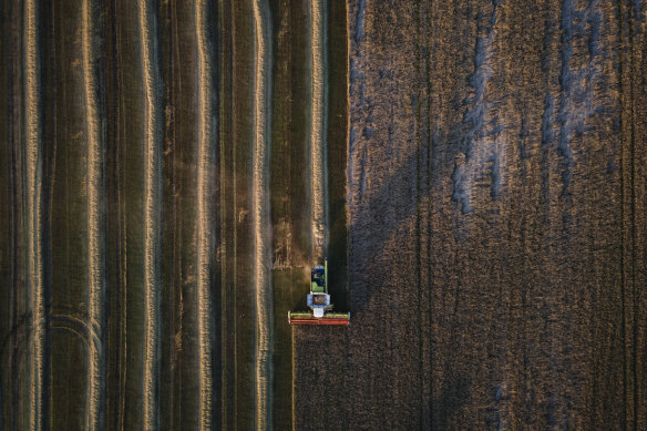 Farmers use combine harvesters to harvest a wheat field near the city of Bila Tserkva in Kyiv Oblast, Ukraine, in August.