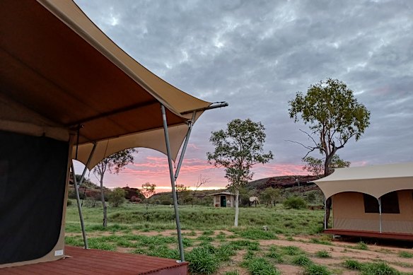 Palm Valley campsite is in Finke Gorge National Park, 140 kilometres west of Alice Springs.