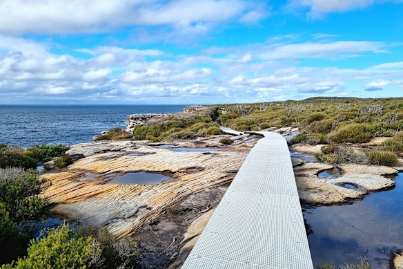 Cape Baily.