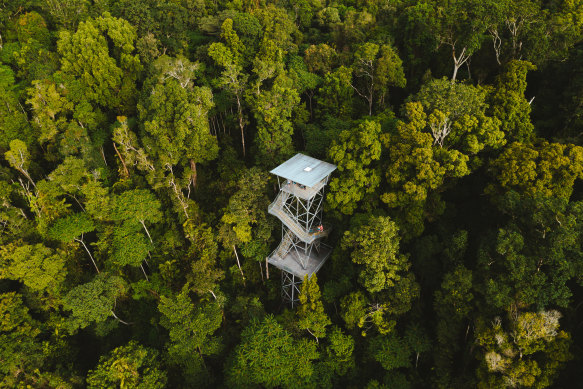 Part of the Mamu Mamu Tropical Skywalk.