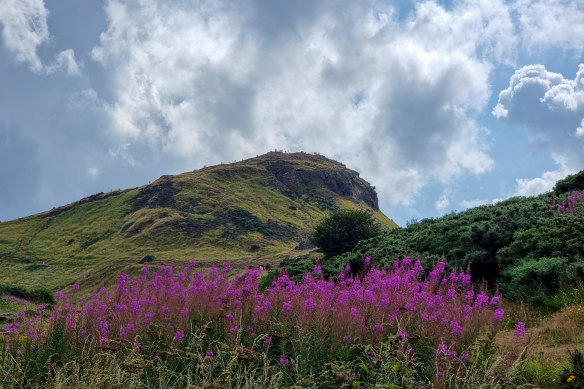 Flower-filled landscape ascending Arthur’s Seat.