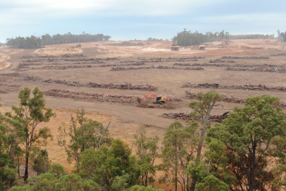 Alcoa has cleared 28,000 hectares of the northern jarrah forest, which is under pressure in a drier, warmer climate and experiencing more bushfires.