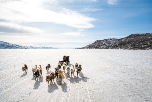 Intrepid traveller’s are well catered for… dog sledding in a winter wonderland.