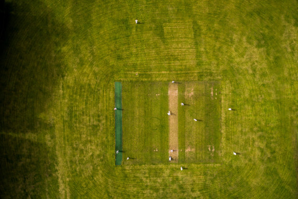 Michael Bachelard’s summer or rolling cricket pitches was rudely interrupted.