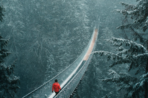 The Capilano Suspension Bridge sways 70 metres above the Capilano River.