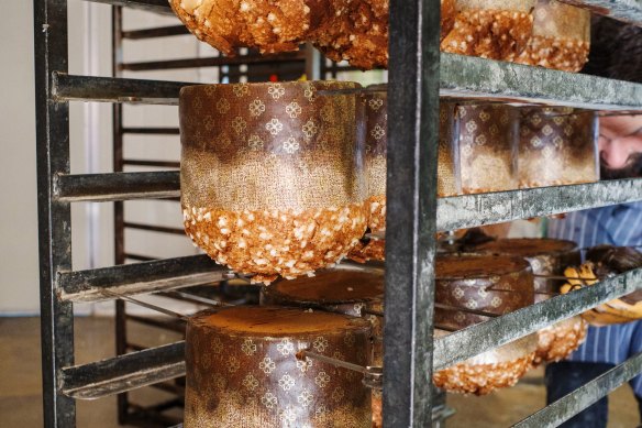 Big Loaf panettone. 