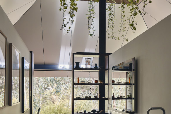 Celilo Springs features skylights and hanging vines.