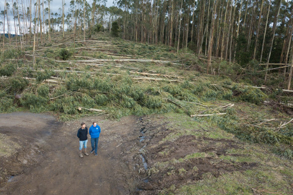 Sam and Jay McGown standing on Whitelaws road, Yinnar which was completely blocked by plantation bluegums blown over by last week’s massive storm.