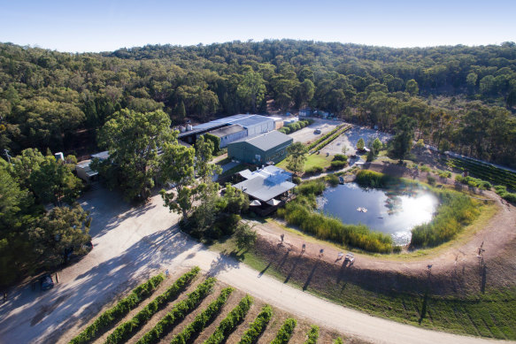 Robert Stein Vineyard, Mudgee, NSW.