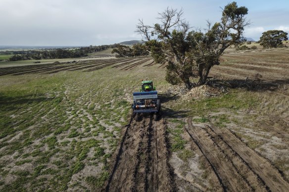 A 400-hectare tree-planting project in Sukey Hill, just east of Cranbrook in  southern WA, that Greening Australia is carrying out for Woodside, part of a 5000-hectare commitment. 
