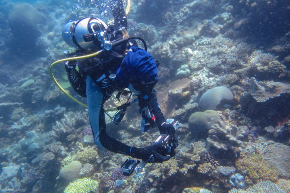 The federal government is not acknowledging the extent to which the Great Barrier Reef is under threat.