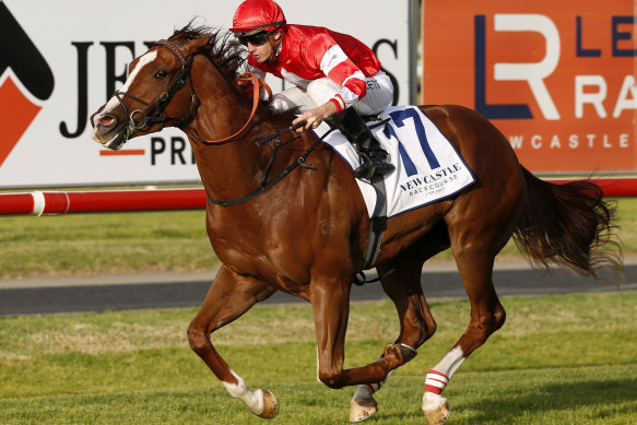 Burning Crown cruises to victory at Newcastle last start.