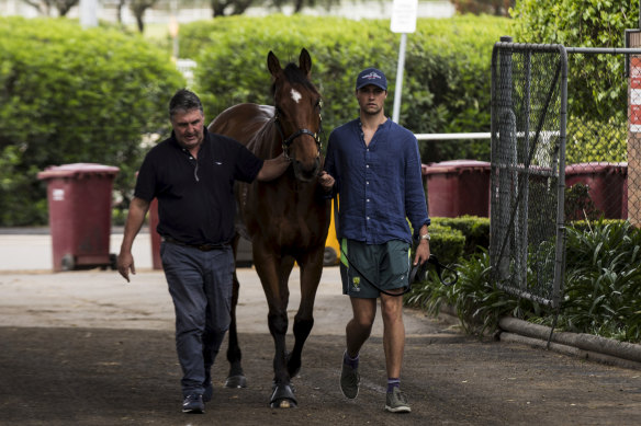 Father and son trainers Anthony and Sam Freedman, pictured with star sprinter Santa Ana Lane.