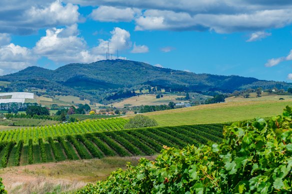 Orange is known for its wine and foodie culture.