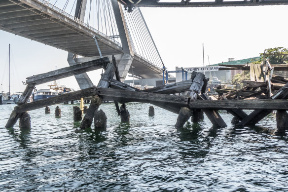 A dilapidated wharf under the Anzac Bridge in 2023. 