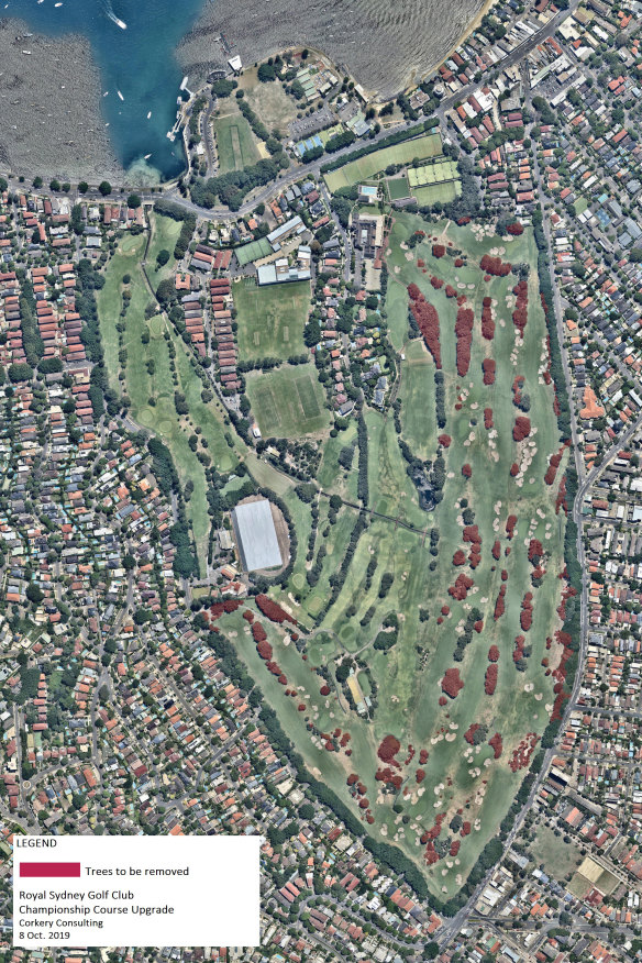Part of the club’s plans in 2019 involved  the removal of 595 trees, highlighted here in red.