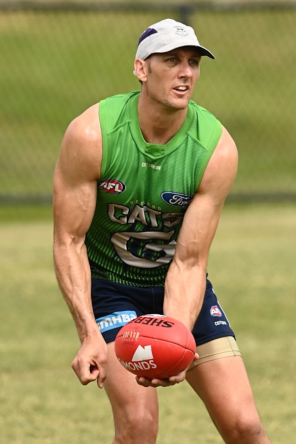 Geelong's Harry Taylor at training this week.
