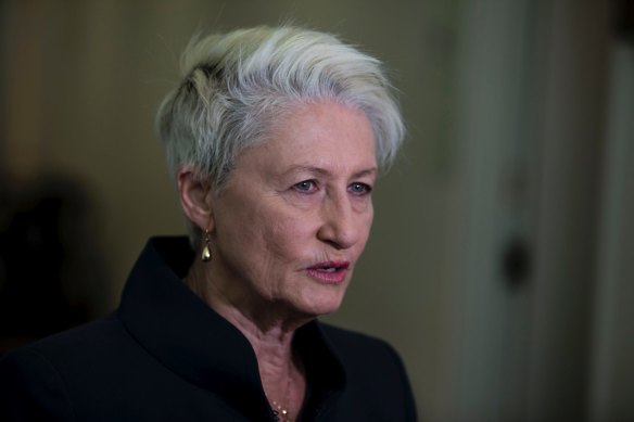 Dr Kerryn Phelps said the demonstration would help dispel misconceptions about the pill-testing process. 