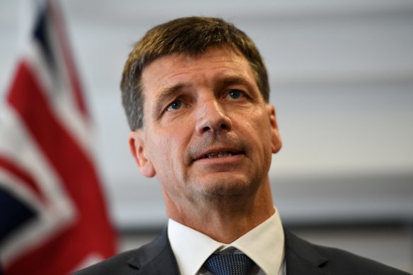 Federal Energy Minister Angus Taylor described Labor's battery policy as a "handout".