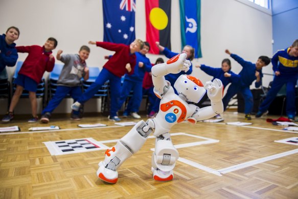 The University of Canberra's robot Ardie teaches tai chi to primary school pupils.