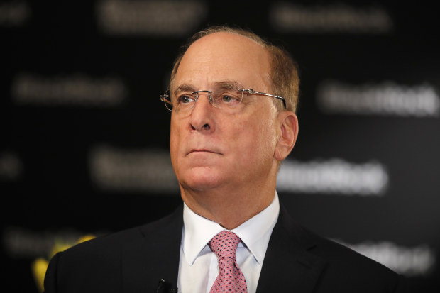BlackRock cuts Larry Fink’s pay 30pc for 2022