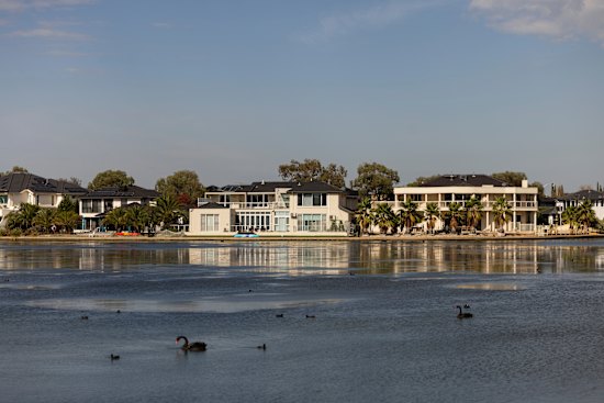 Point Cook’s resident swans at Sanctuary Lakes.