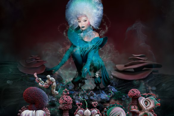 Bjork in Cornucopia.