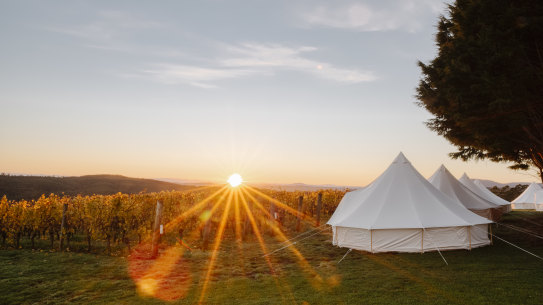 Australia's share of the imported wine market in China has jumped to 25.7 per cent.