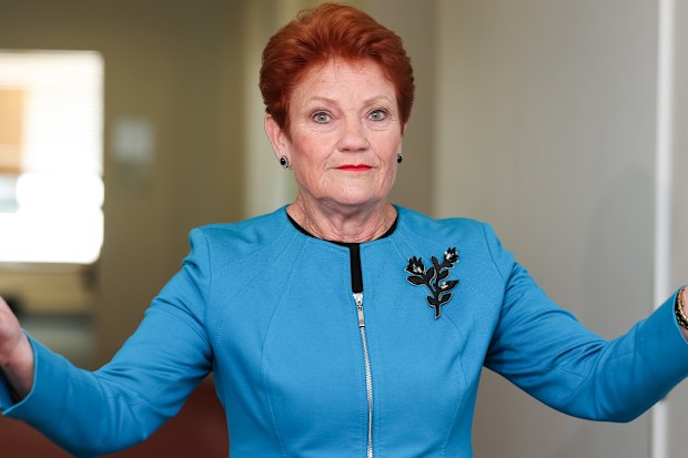 One Nation leader Senator Pauline Hanson during a doorstop interview in the press gallery at Parliament House.One Nation leader Senator Pauline Hanson during a doorstop interview in the press gallery at Parliament House.
