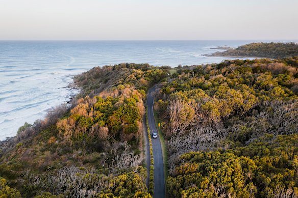 Scenic bushland drive to Green Point at Angourie.