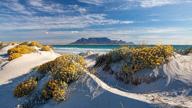 It isn’t hard to see why more cruises are heading to Cape Town.