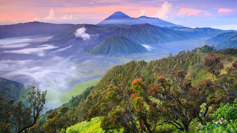 It may depart from Bali, but this holiday takes in some of Asia’s wildest wonders
