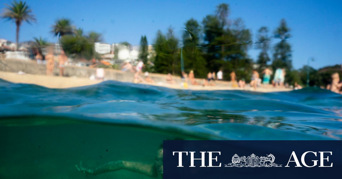 Sydney weather: Weekend heatwave likely to stretch into next week - Vimarsana News