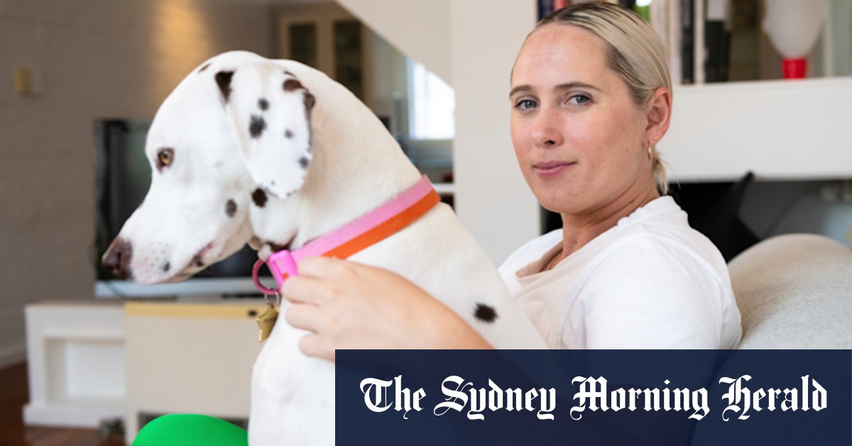Sydney rental crisis: Sydney rents hit record highs, typical unit rent reaches $700 a week - Vimarsana News