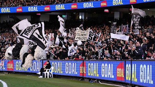 Birds of a feather: Magpies fans celebrate a goal against Geelong at the MCG on Friday night.