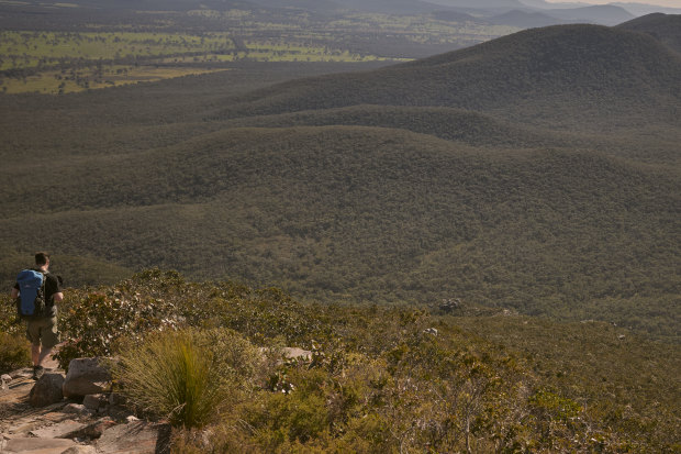 A trek in Tasmania. “If you take people into these spaces, they come out a little different,” says the Australian Walking Company’s Brett Godfrey. 