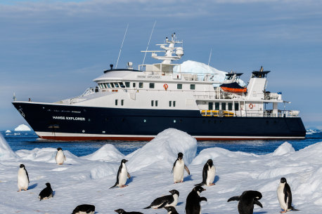 “Off the beaten cruise track”: the Hanse Explorer in Antarctica