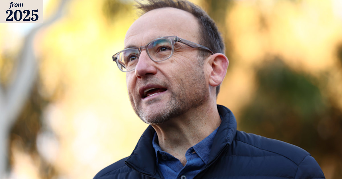 What former Greens leader Adam Bandt did next