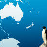 Emperor penguin swims to Australia in longest recorded journey