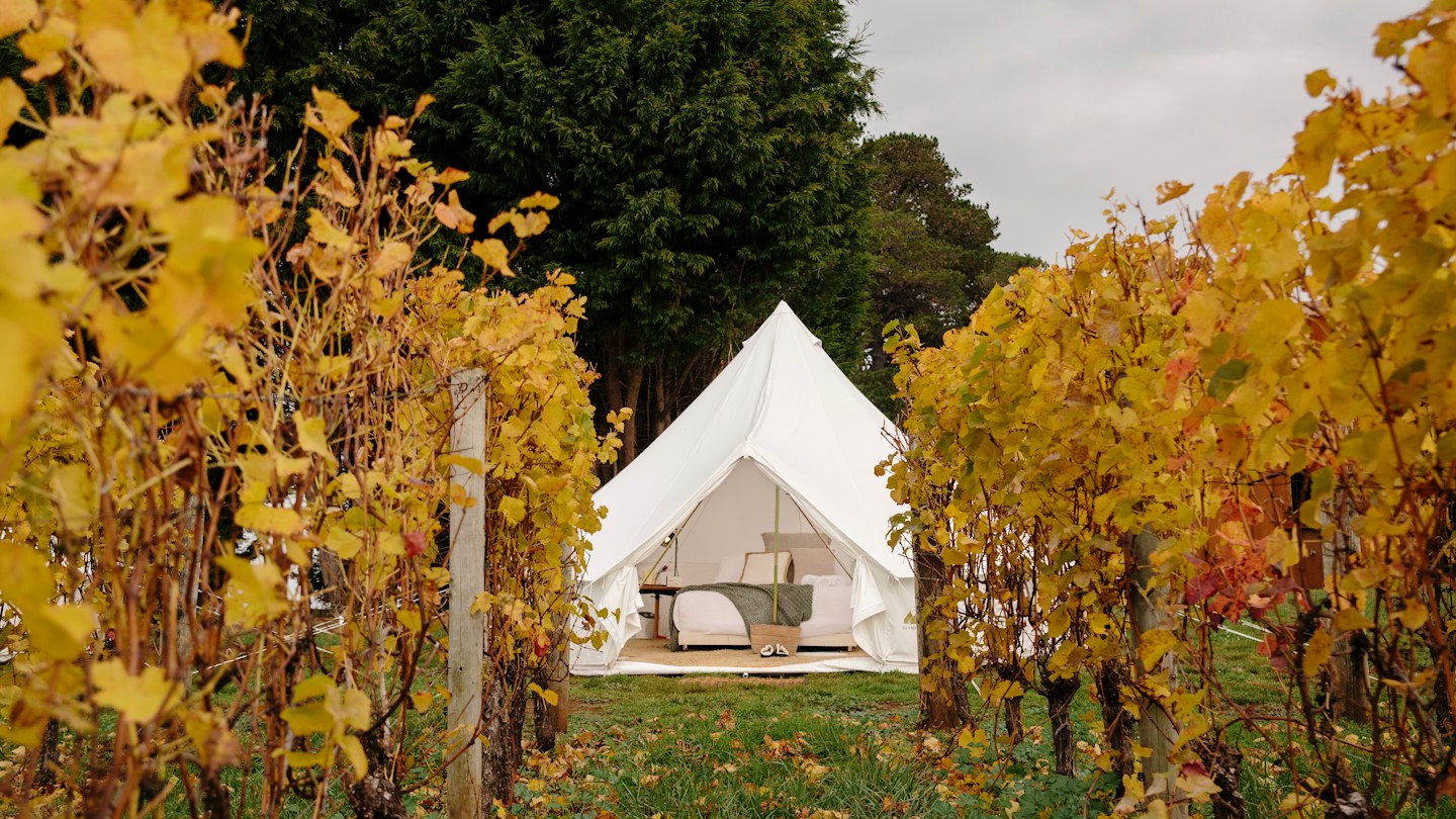 Vineyard glamping is the new cool